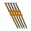 Grip-Rite 21 deg. 11 Ga. Smooth Shank Angled Strip Framing Nails 3 in. L x 0.12 in. L (3 x 0.12)