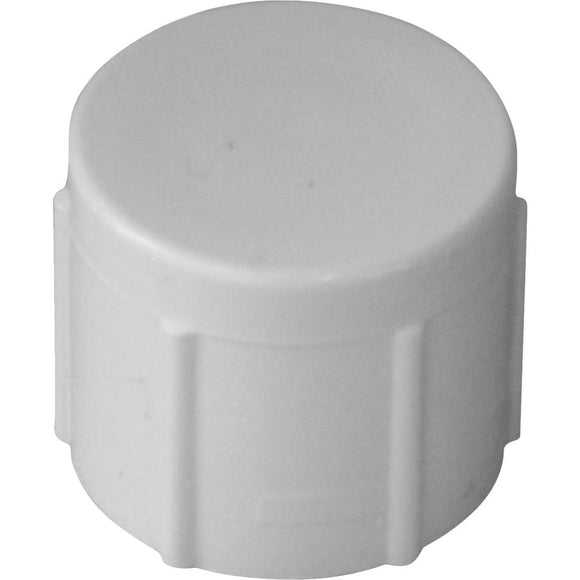 Charlotte Pipe 4 In. FIP Schedule 40 Threaded PVC Cap